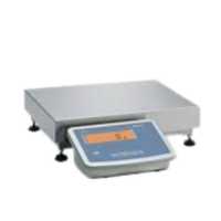 Precision Scales